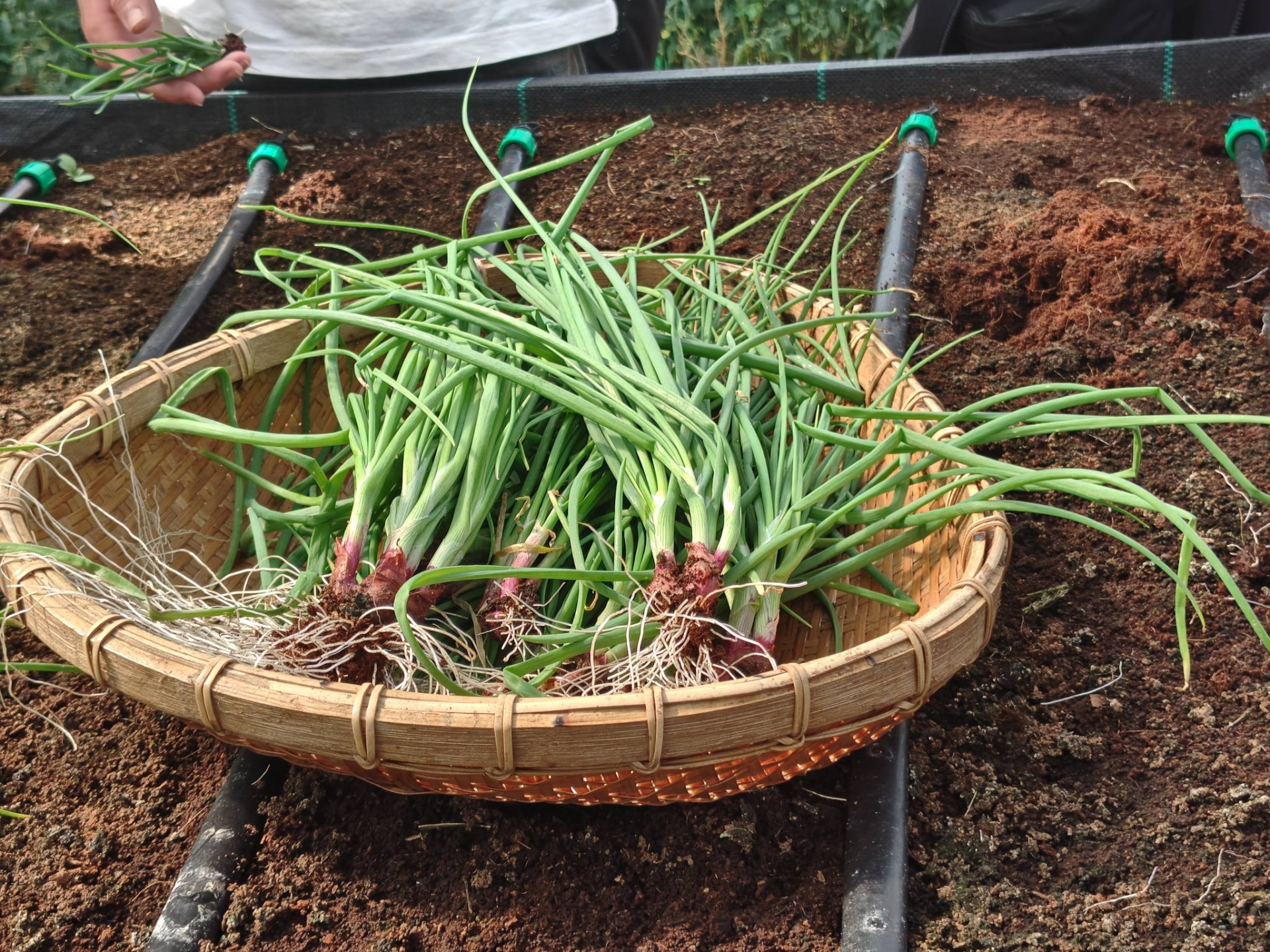 607582696_3172068616296435_7950473406439909866_n