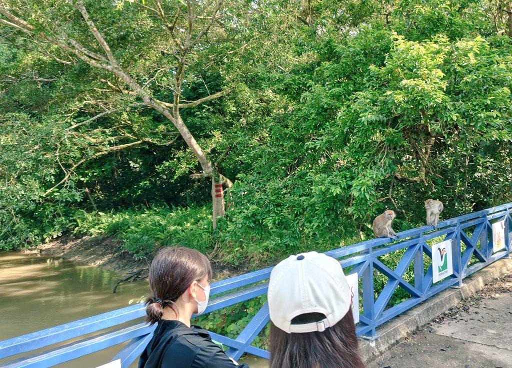 608197613_3172069636296333_2218719669577482636_n