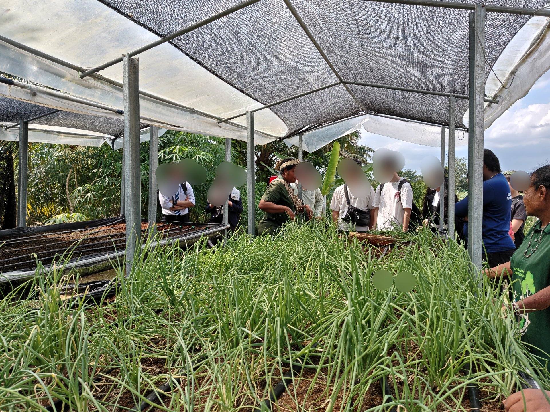 608523962_3172063709630259_2531401059518739753_n