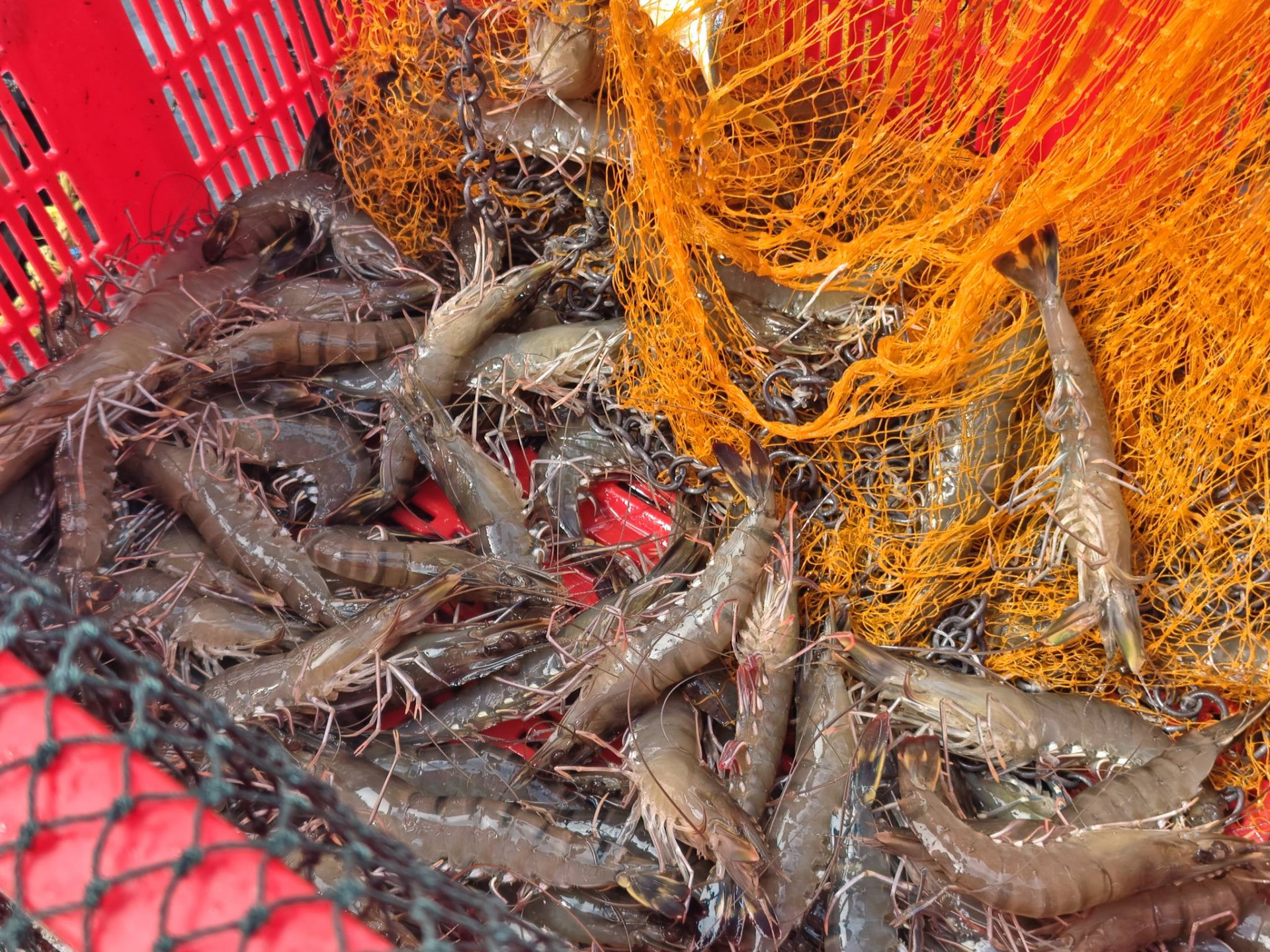 608615417_3173260369510593_6058483629257968869_n