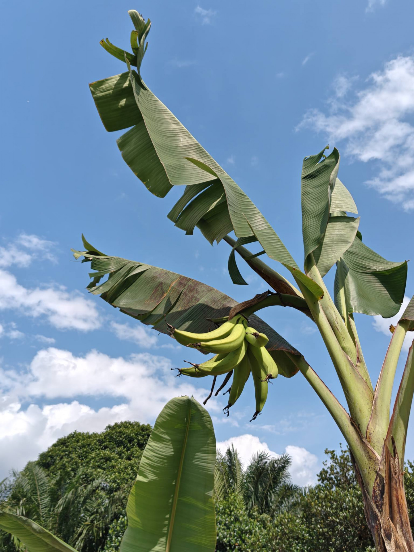 608628293_3172067786296518_2251184851152909855_n