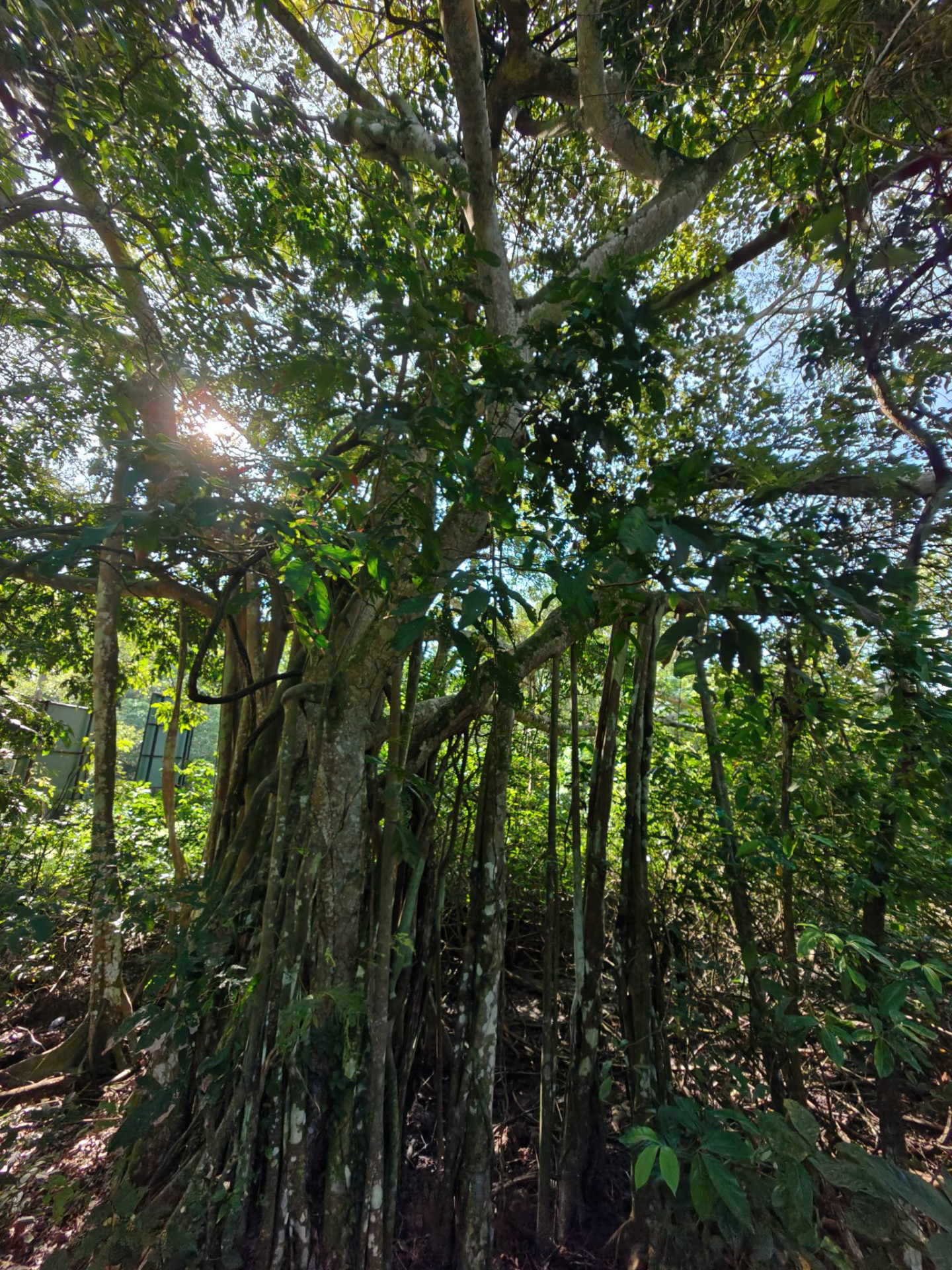 610884753_3172071579629472_2318390213893430103_n