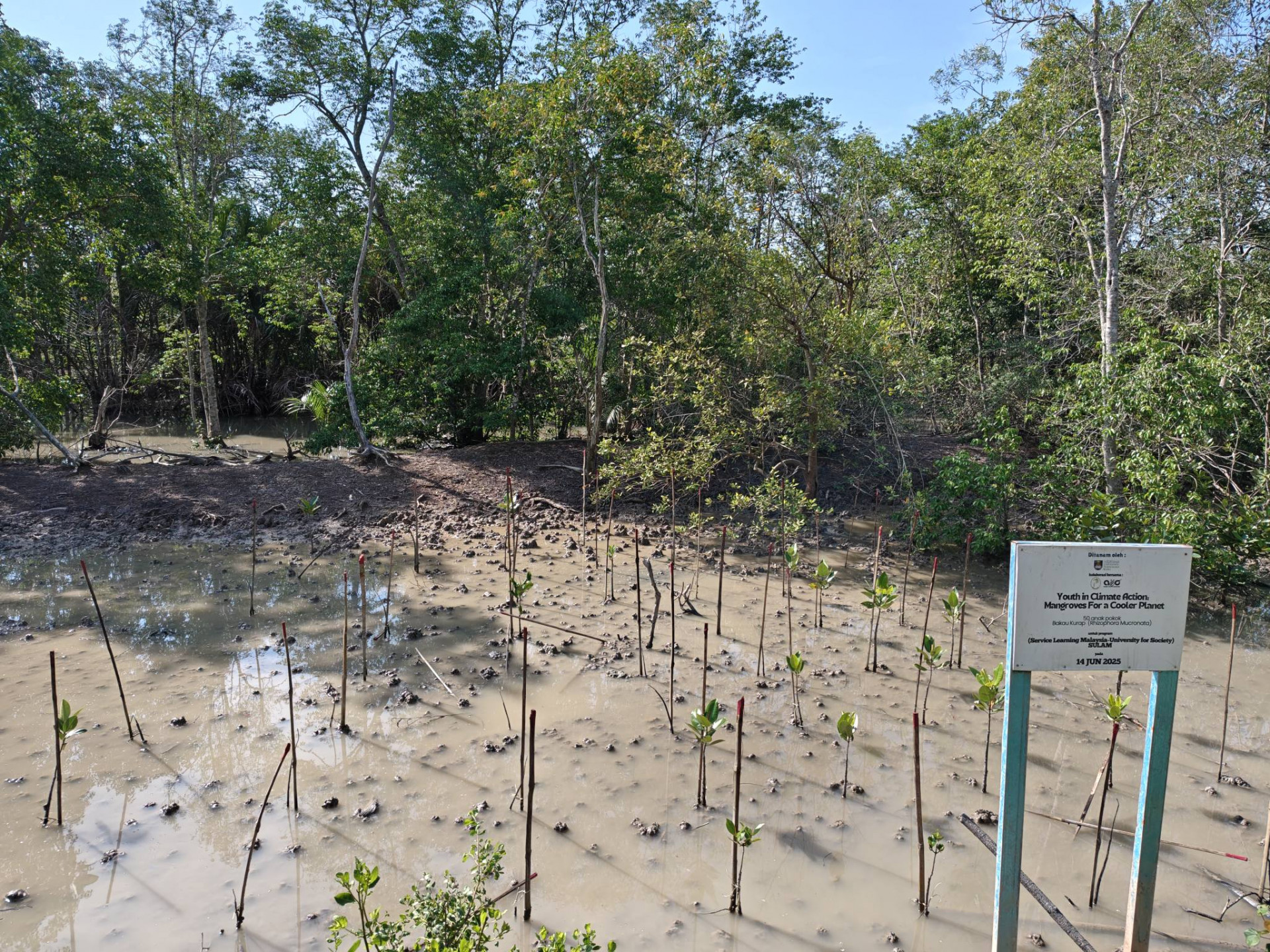 611517761_3172071322962831_893216789920643612_n