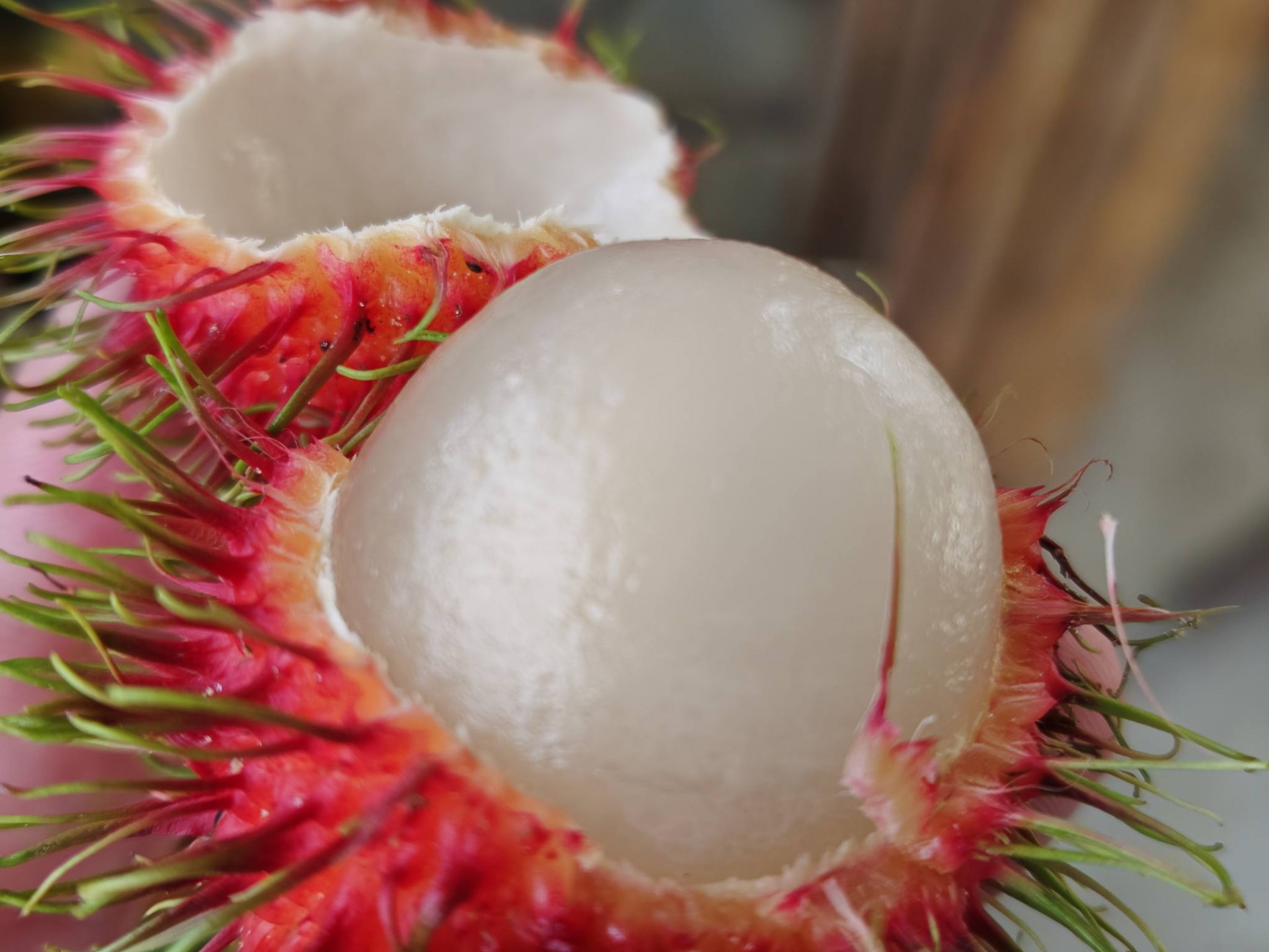 611664542_3172069462963017_4306285954318050956_n