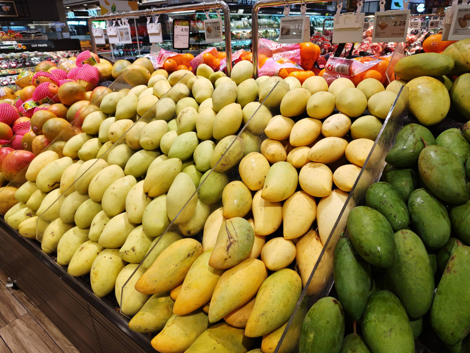 611843536_3173902429446387_8860110836485657802_n