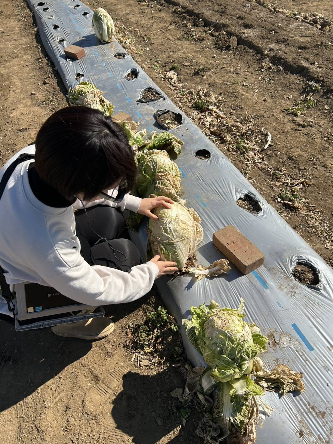 622559269_3197253760444587_8596473158451377830_n