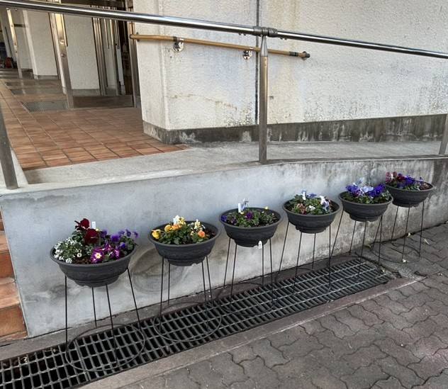 631816186_3214027795433850_1563051295310264430_n