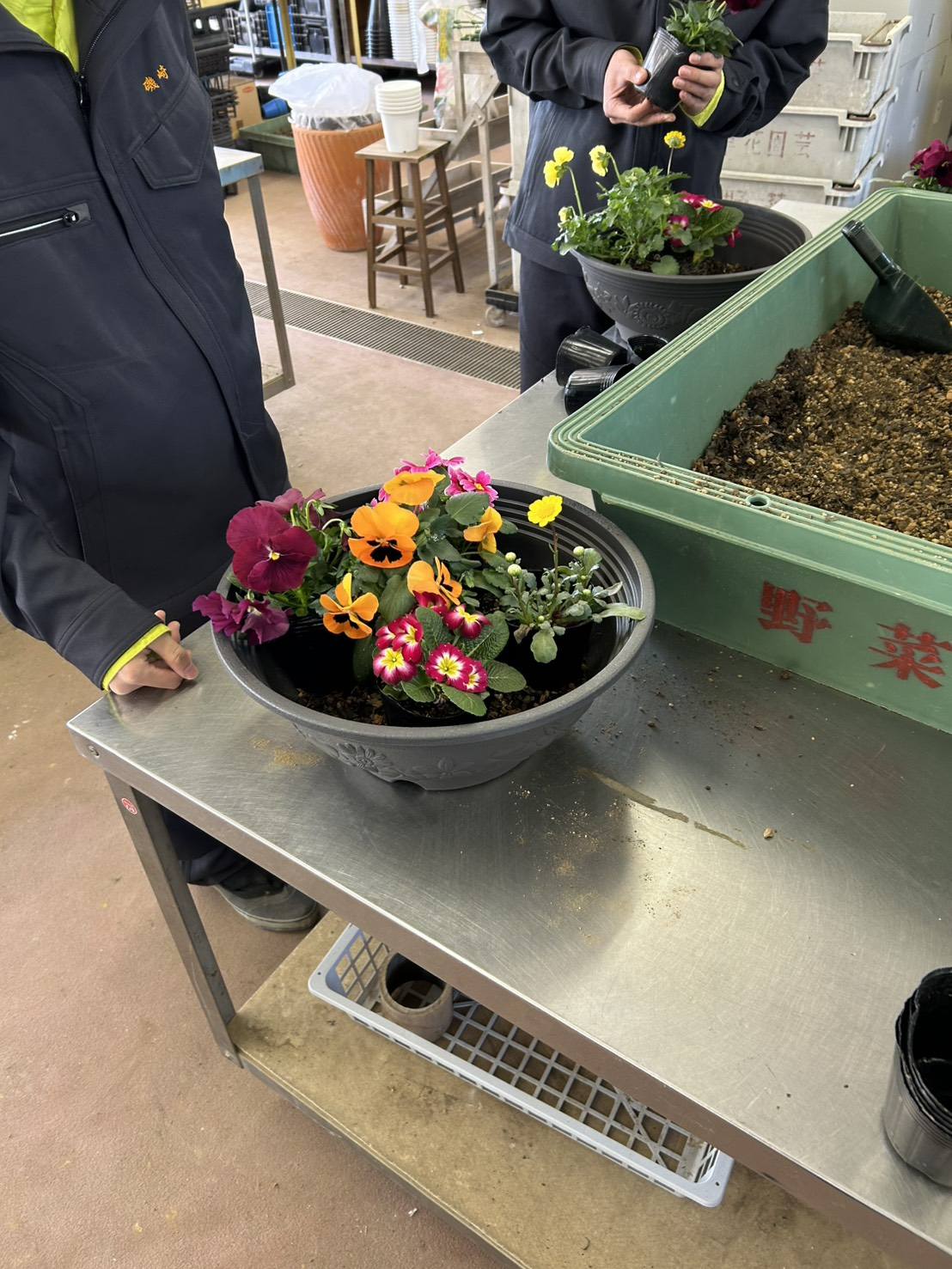 635347658_3214028275433802_7274418610009295635_n