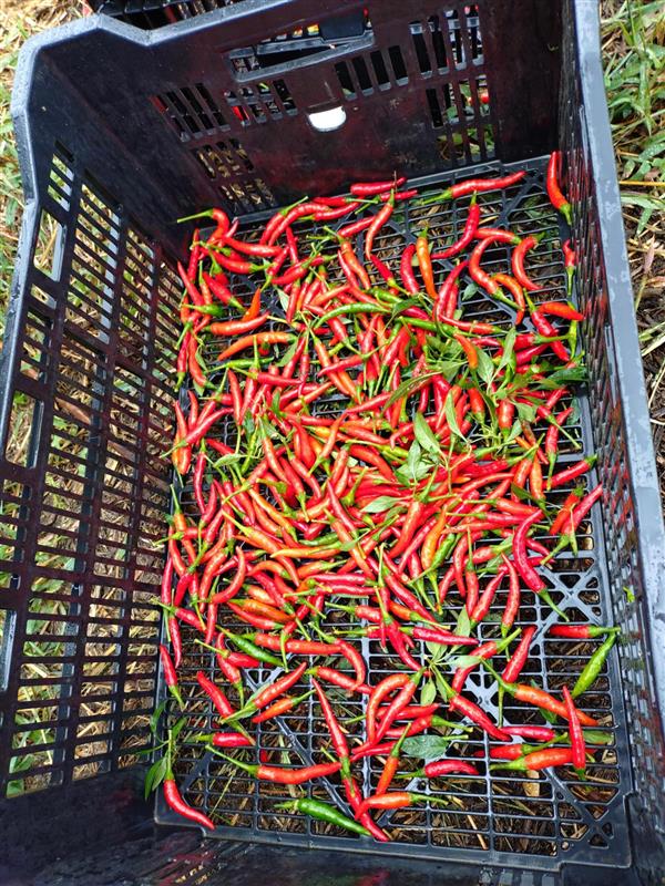 6d318e8b-ee77-40d0-8c35-373c725cb4de