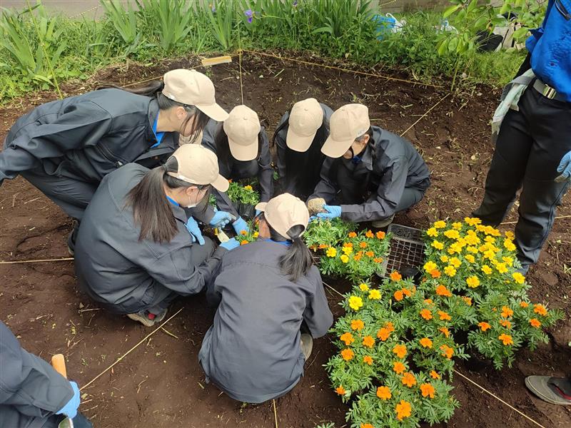 8ba4ec7f-fe46-43b5-8302-ad535745fed9