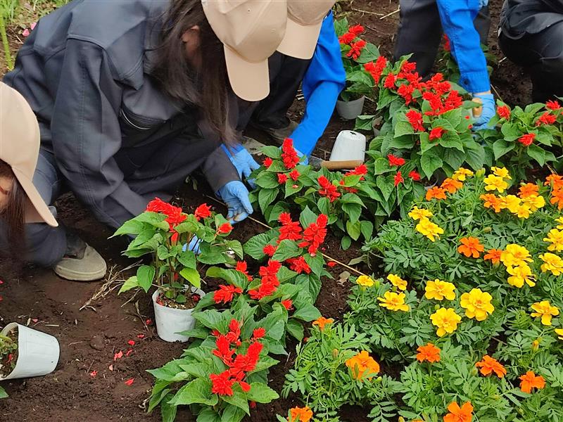 9cd11324-165d-4279-88f7-c2cf0f0dcf07