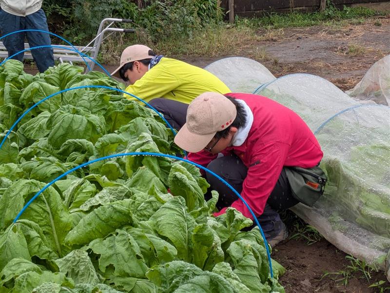 a3a07e67-b876-40de-bbde-45c20acd505e