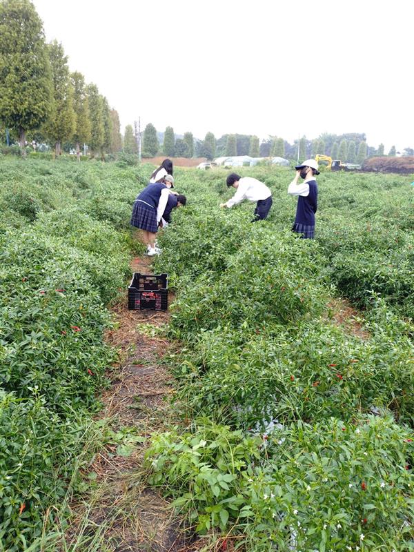 b7b3c087-b4d0-4819-baad-a57b732dc7fa