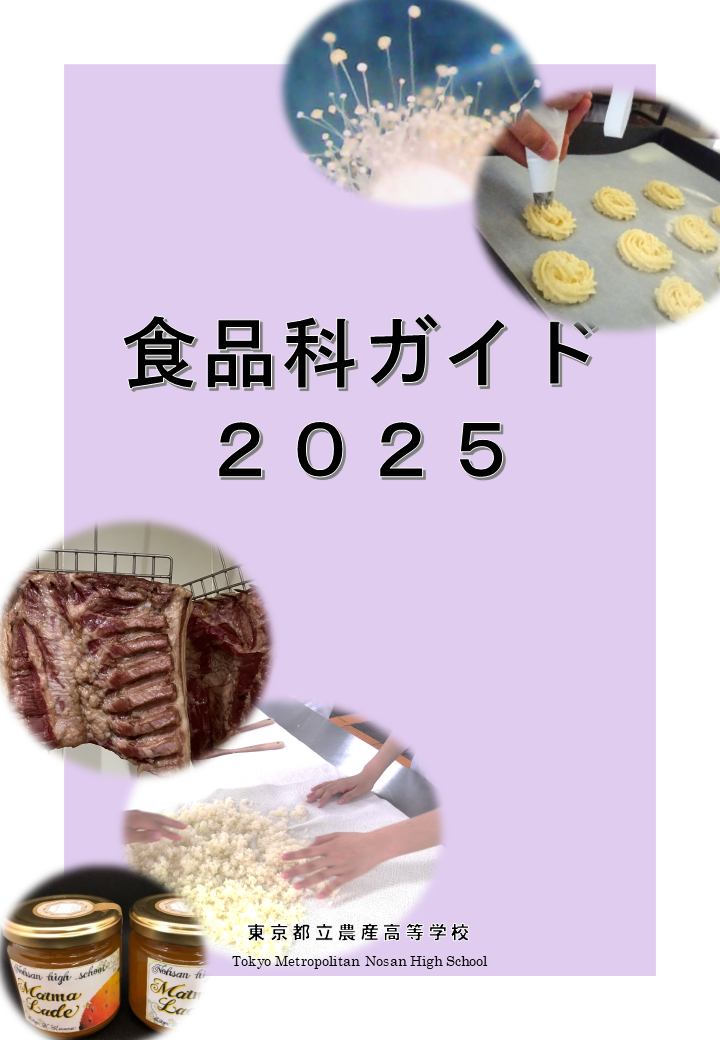 パンフレット画像