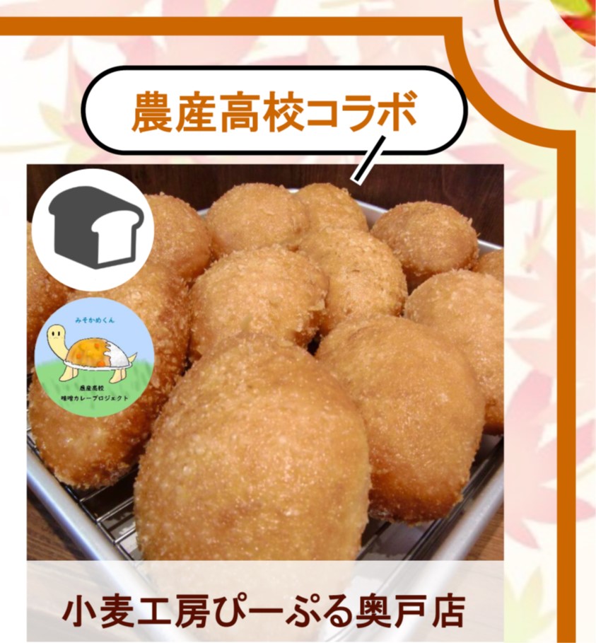ぽちかめ1