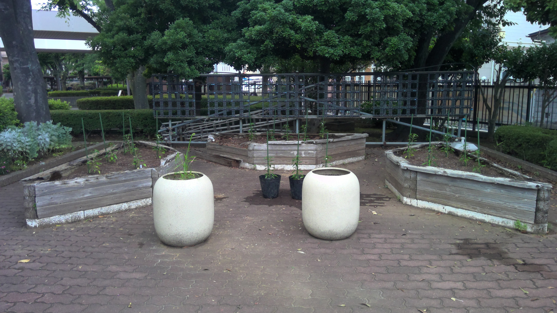 像７