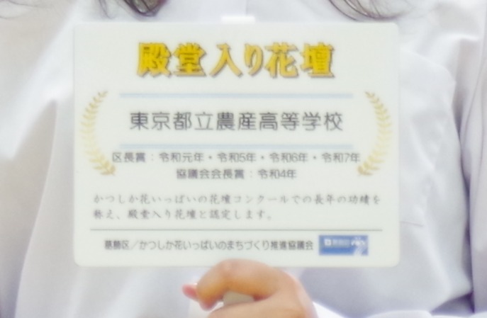 殿堂入り.JPG