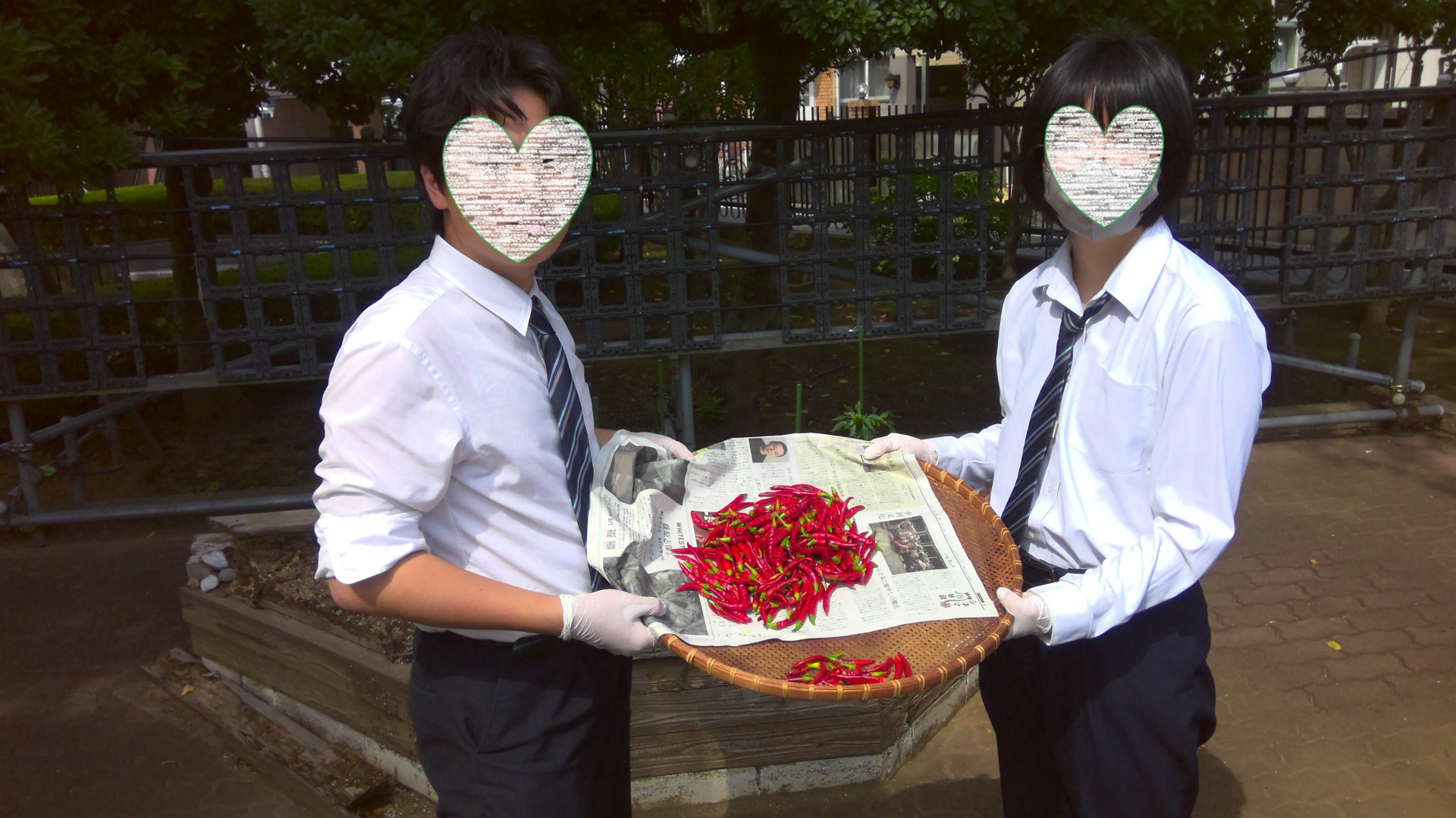 画像５