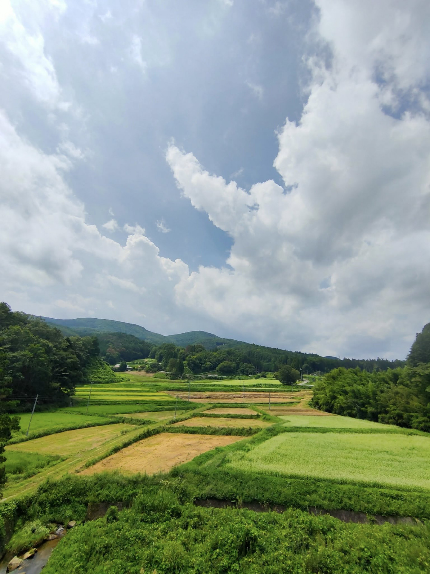 葛尾村