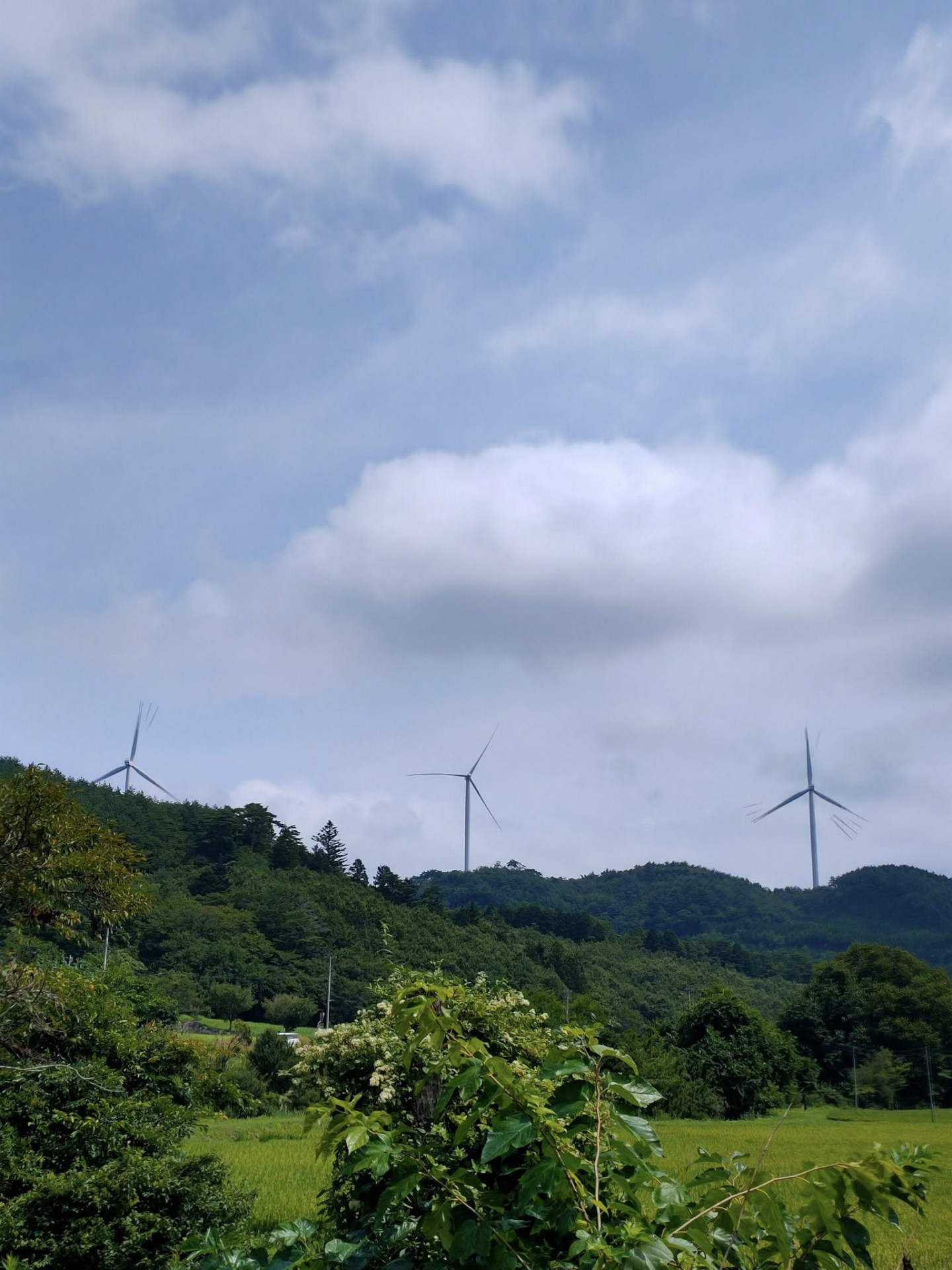 風力発電