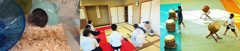 文化系活動イメージ