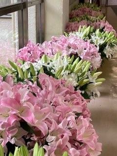 百合の花