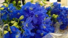 お花3
