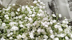 お花6