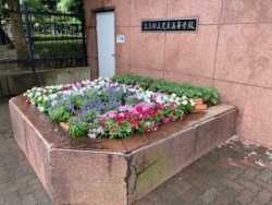 花壇左