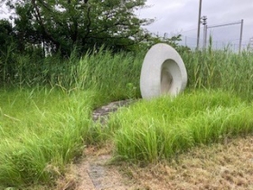 ビオトープ（手入れ前）