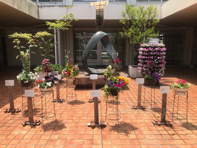 0702寄せ植えコンテスト