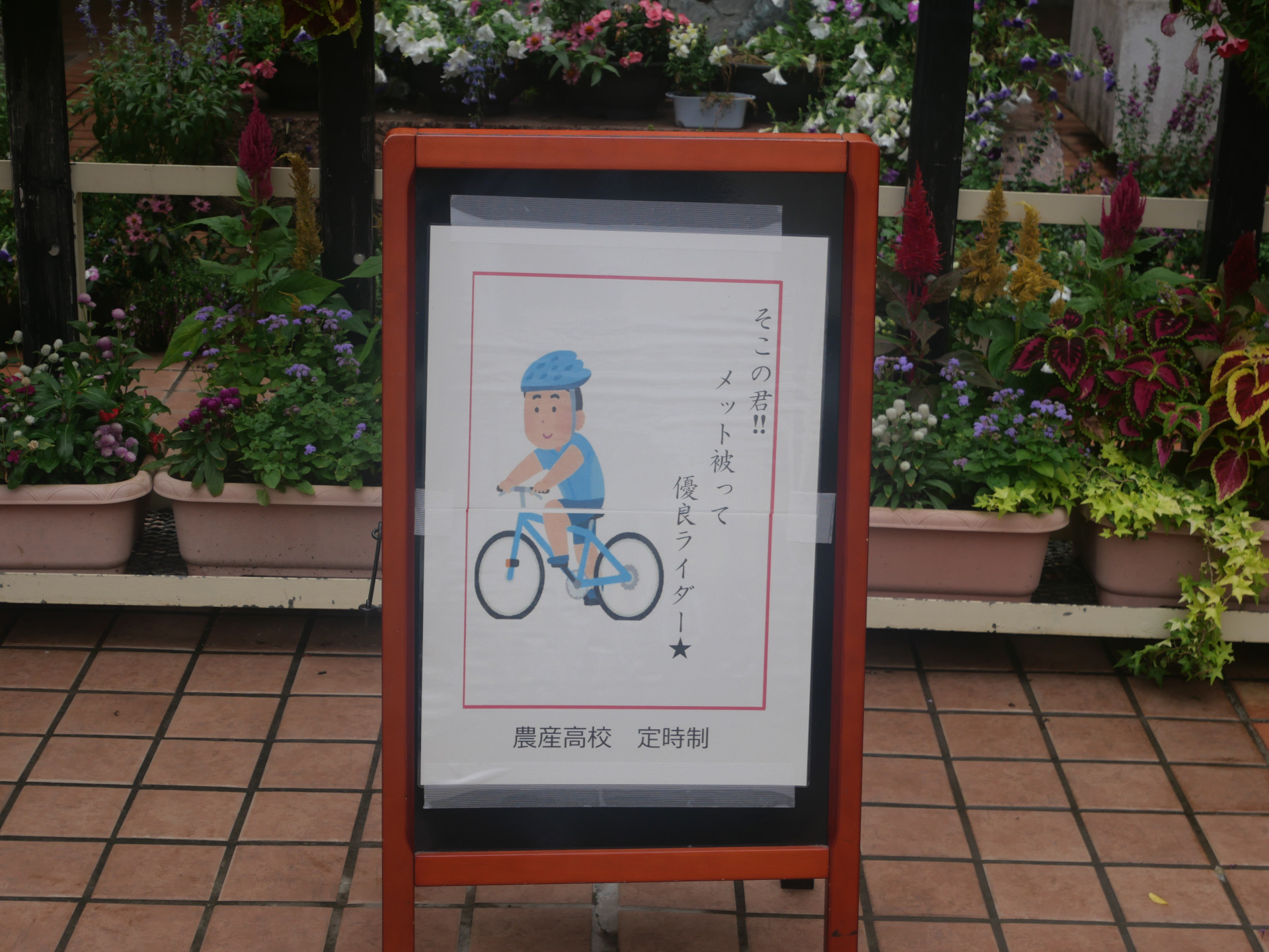P1011705.JPG