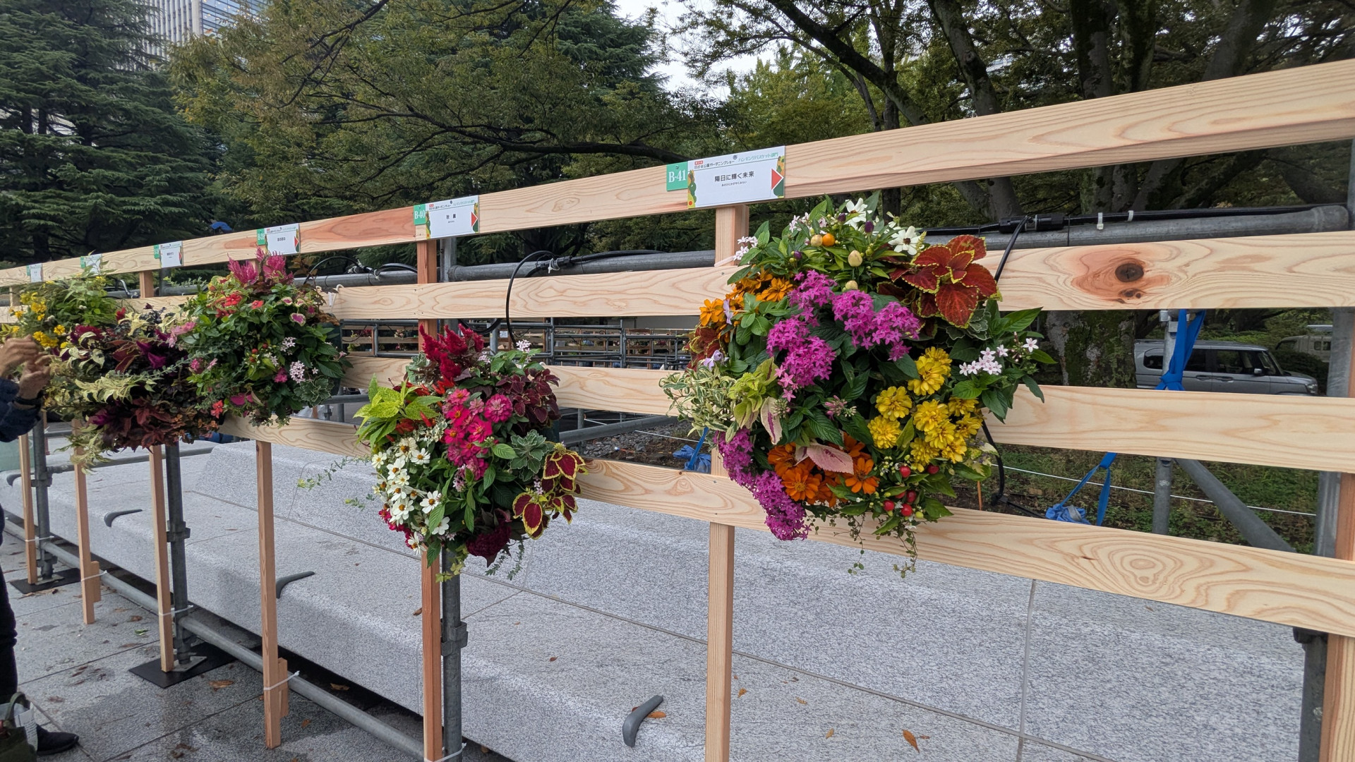 PXL_20251016_070013595