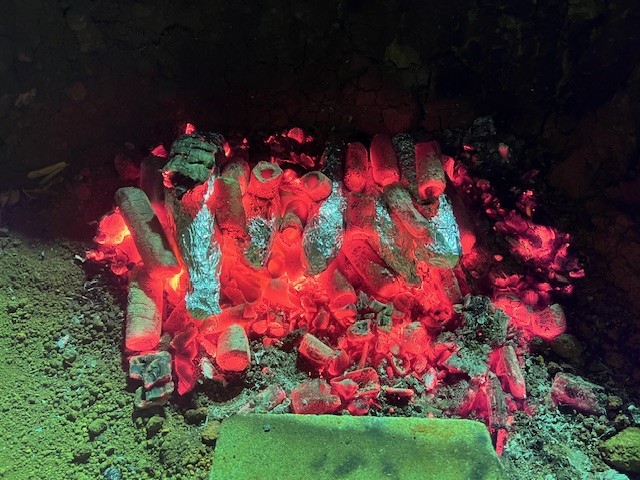 焼き芋１