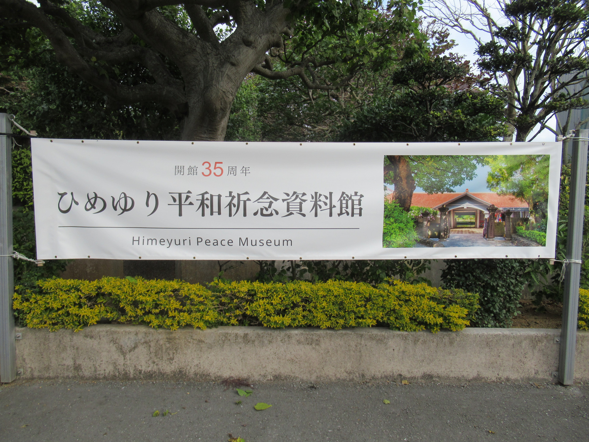 IMG_4247.JPG