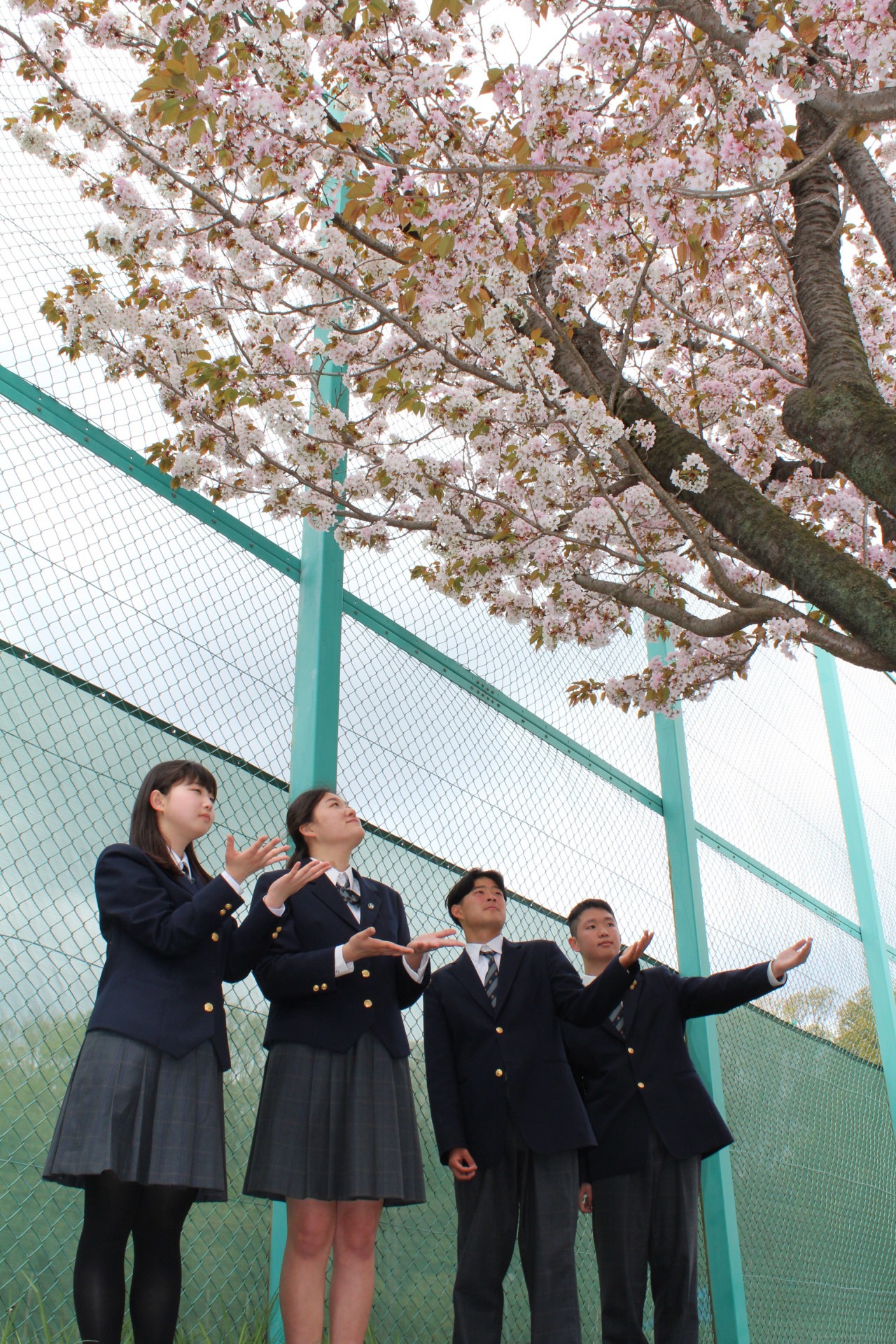 0408生徒と桜