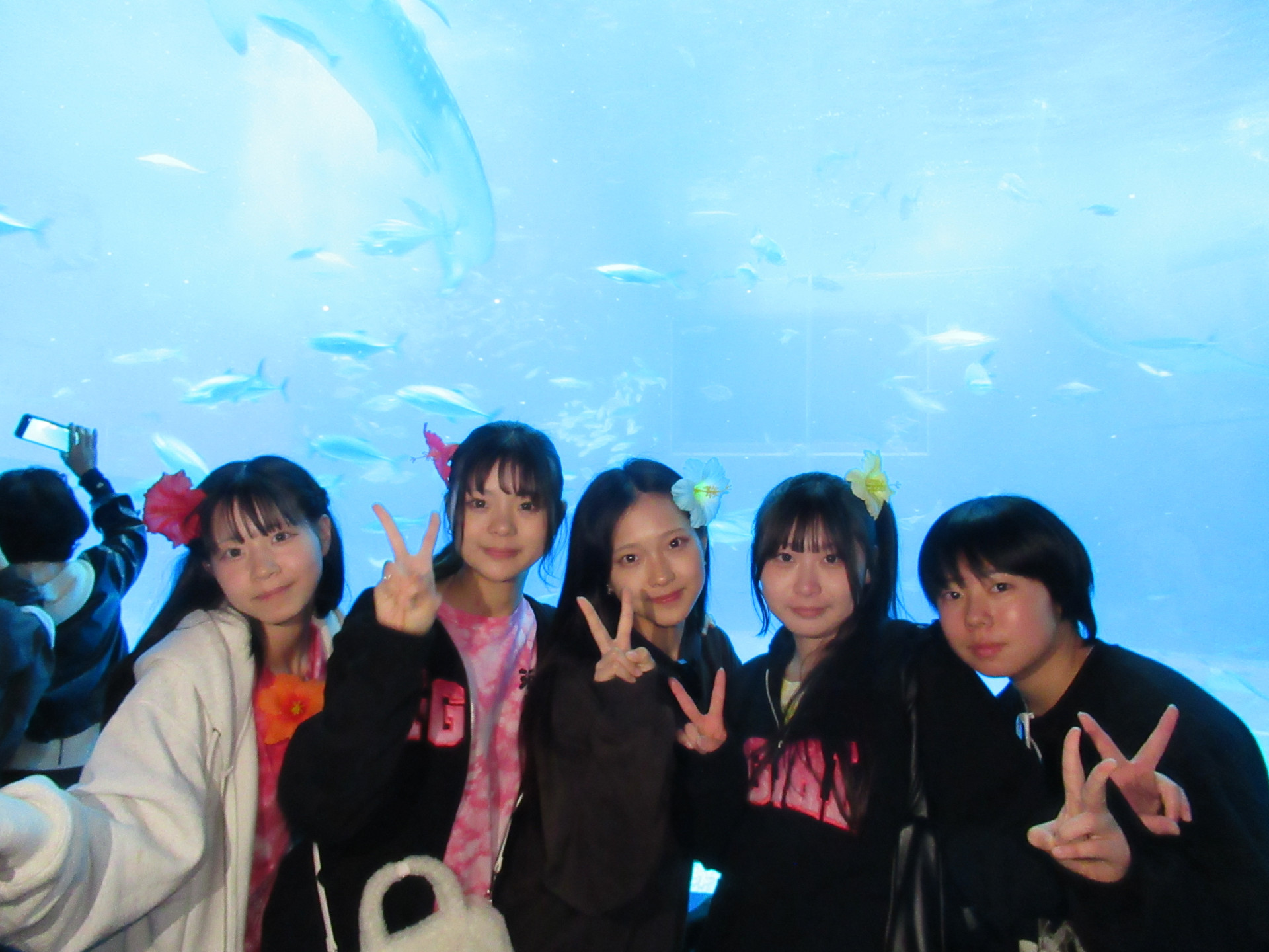 IMG_4430.JPG