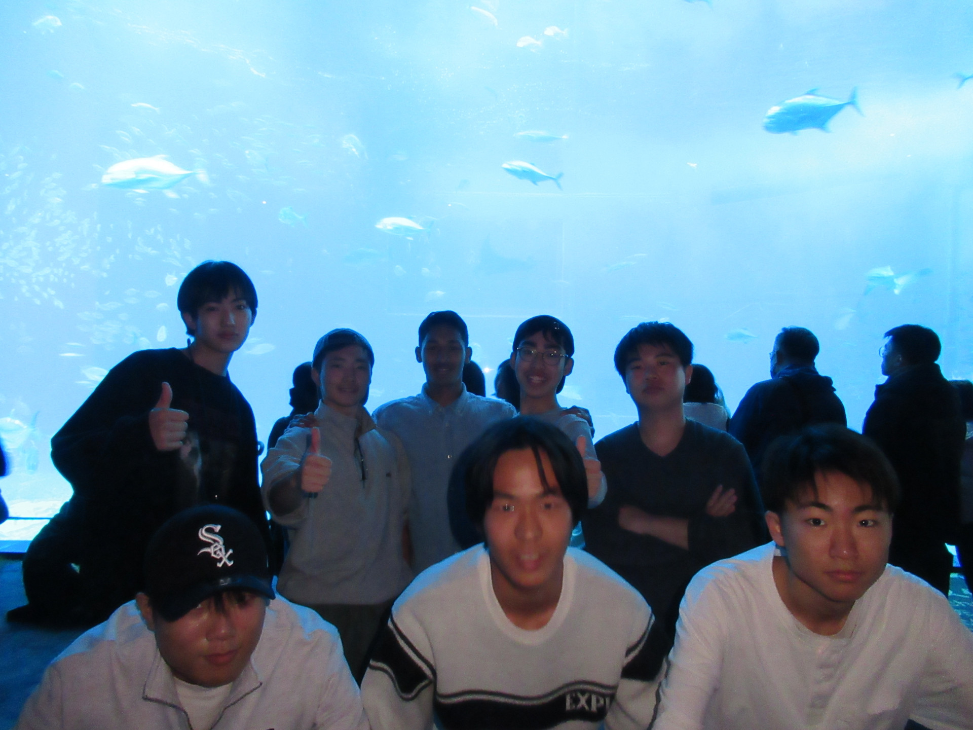 IMG_4439.JPG