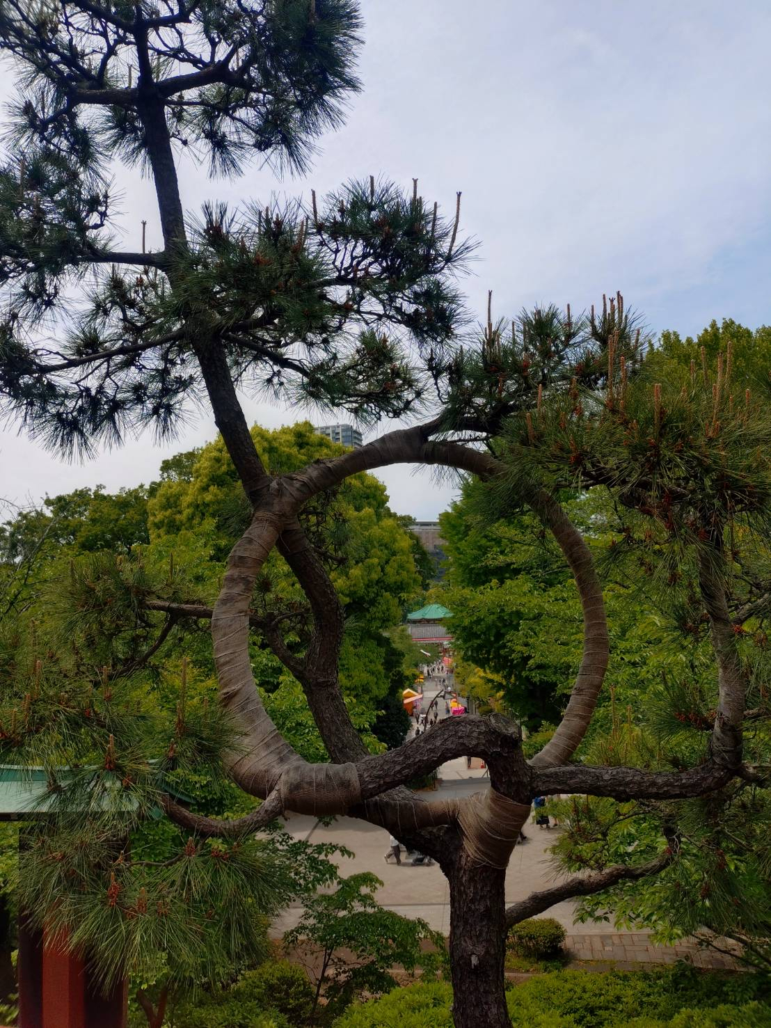 1年次_1