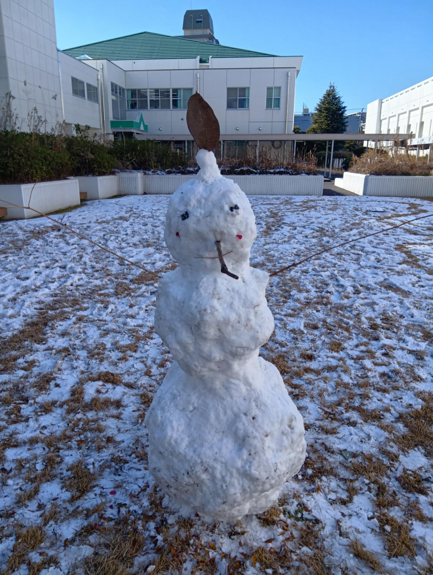 20260209雪だるま