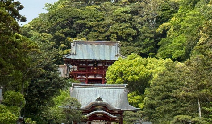 20260428校外学習4年次7