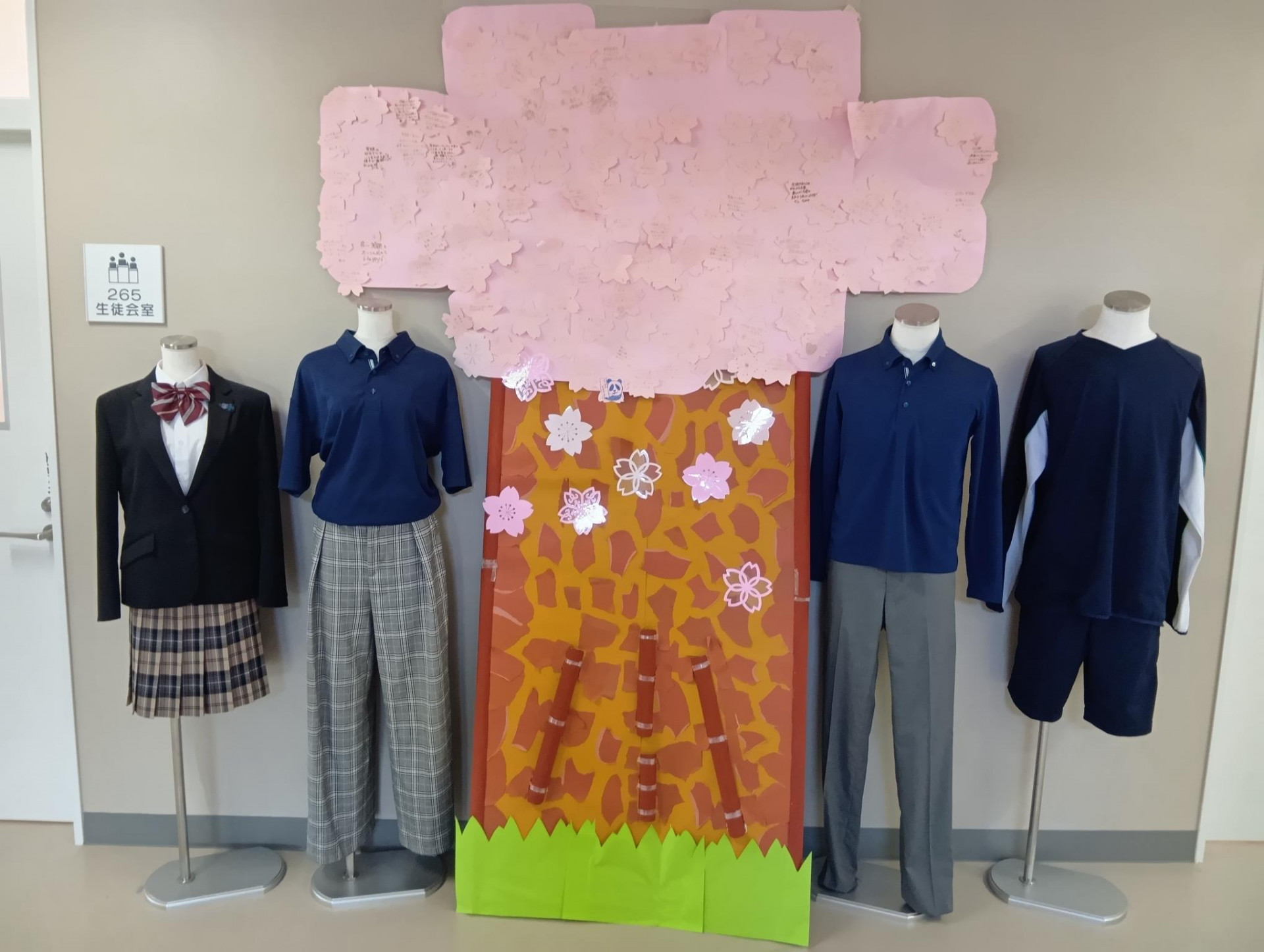 R7芽吹祭後の展示物です