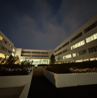 クリスマス中庭1