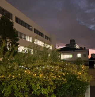 クリスマス中庭2