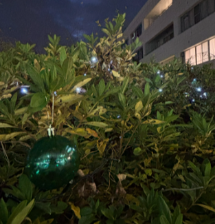 クリスマス中庭3