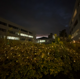 クリスマス中庭4