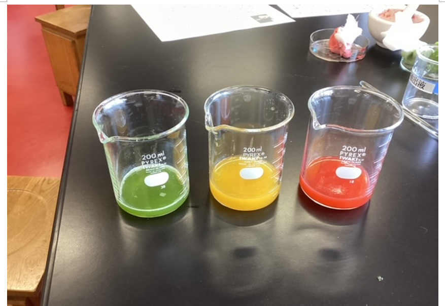 2年次 ブロッコリーのDNA抽出実験 ｜ 東京都立大江戸高等学校