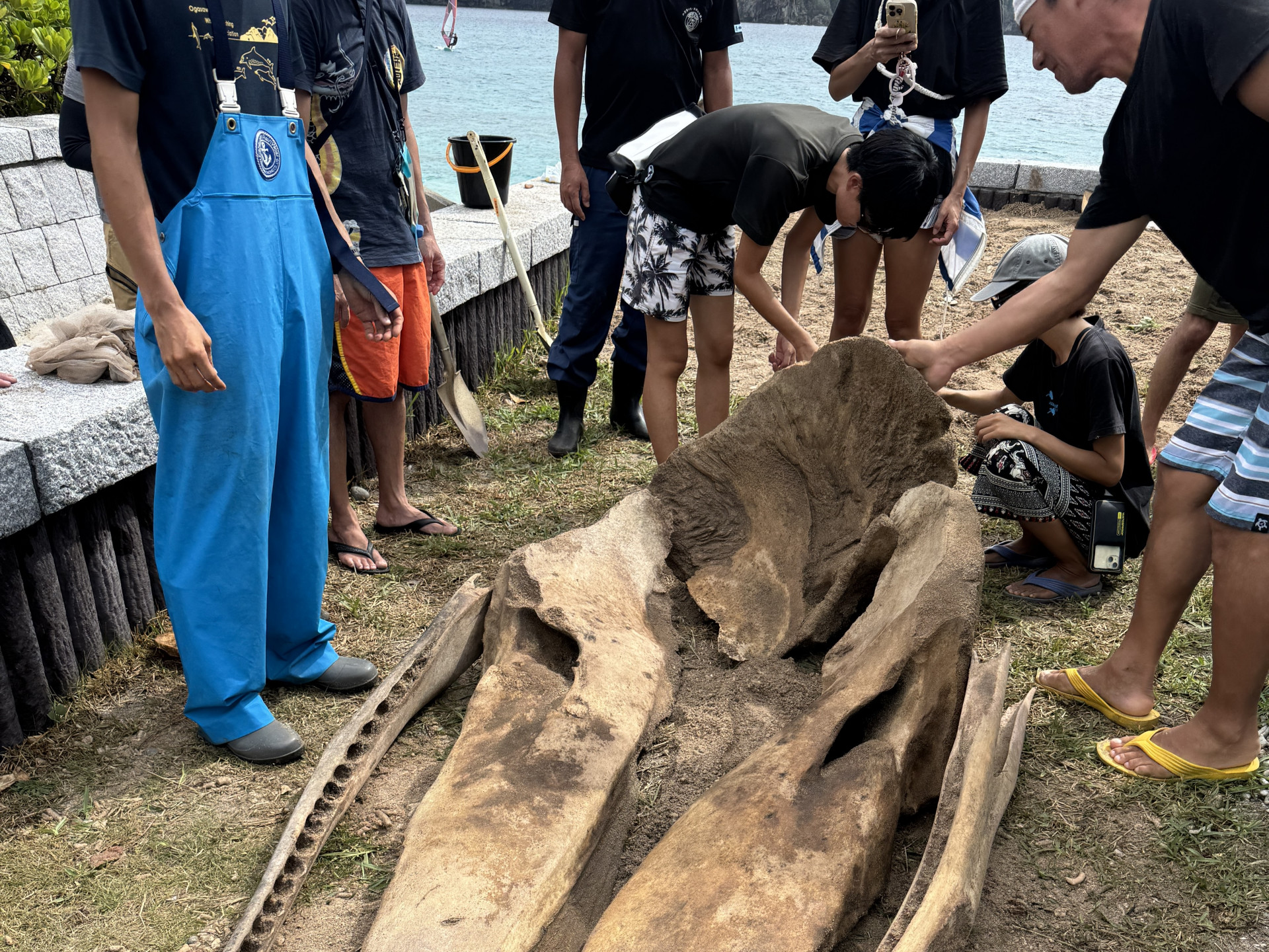 20251026_015007562_iOS