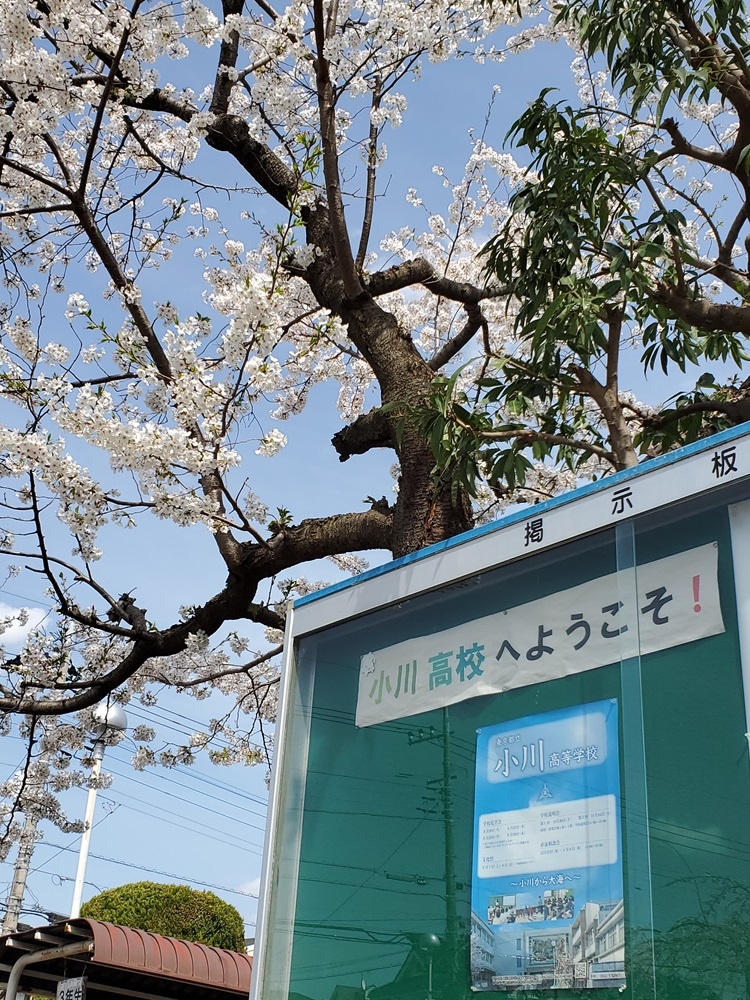 新入生歓迎１