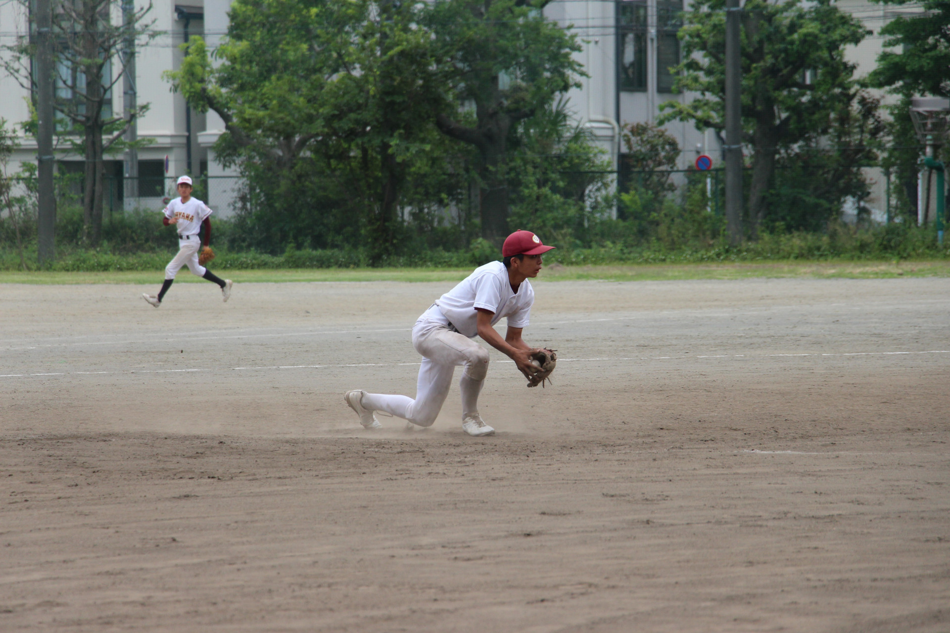 IMG_9013.JPG